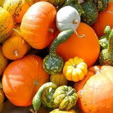 Petite Pumpkin Package