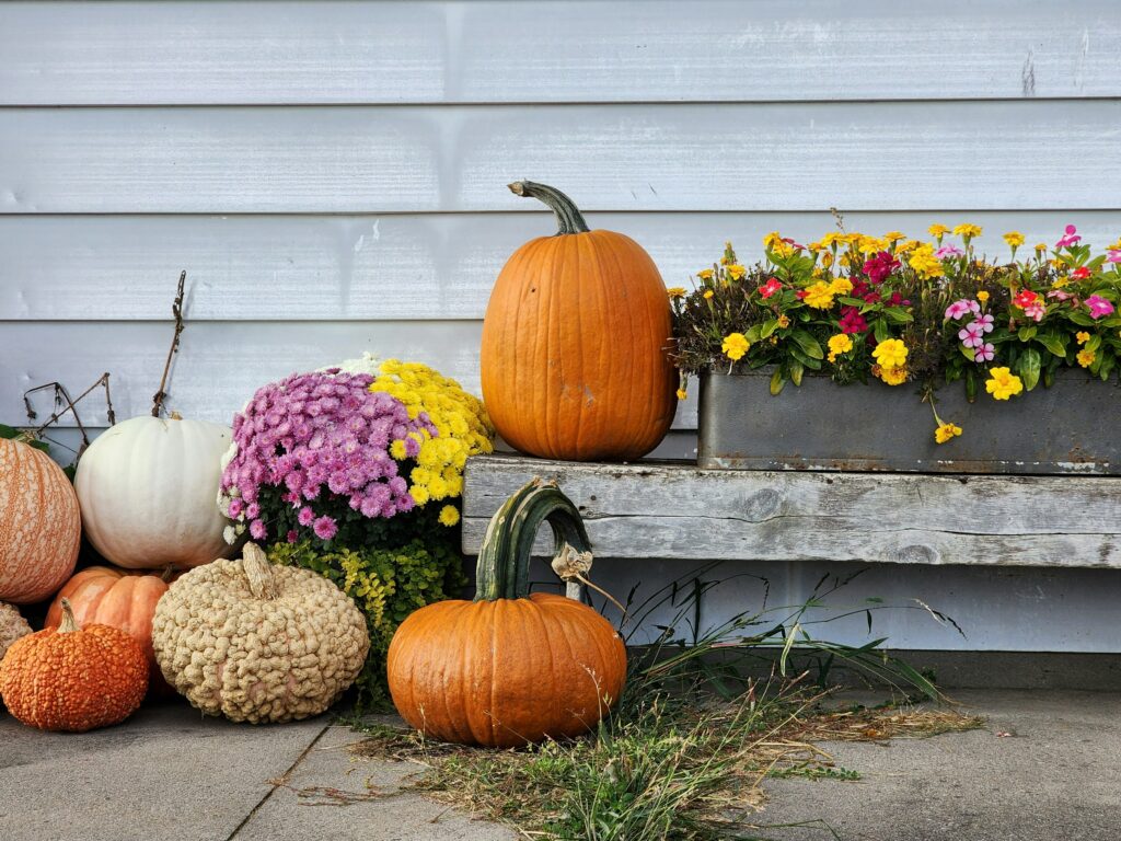 Porch pumpkin decor ideas with orange and white pumpkins on steps with fall flowers